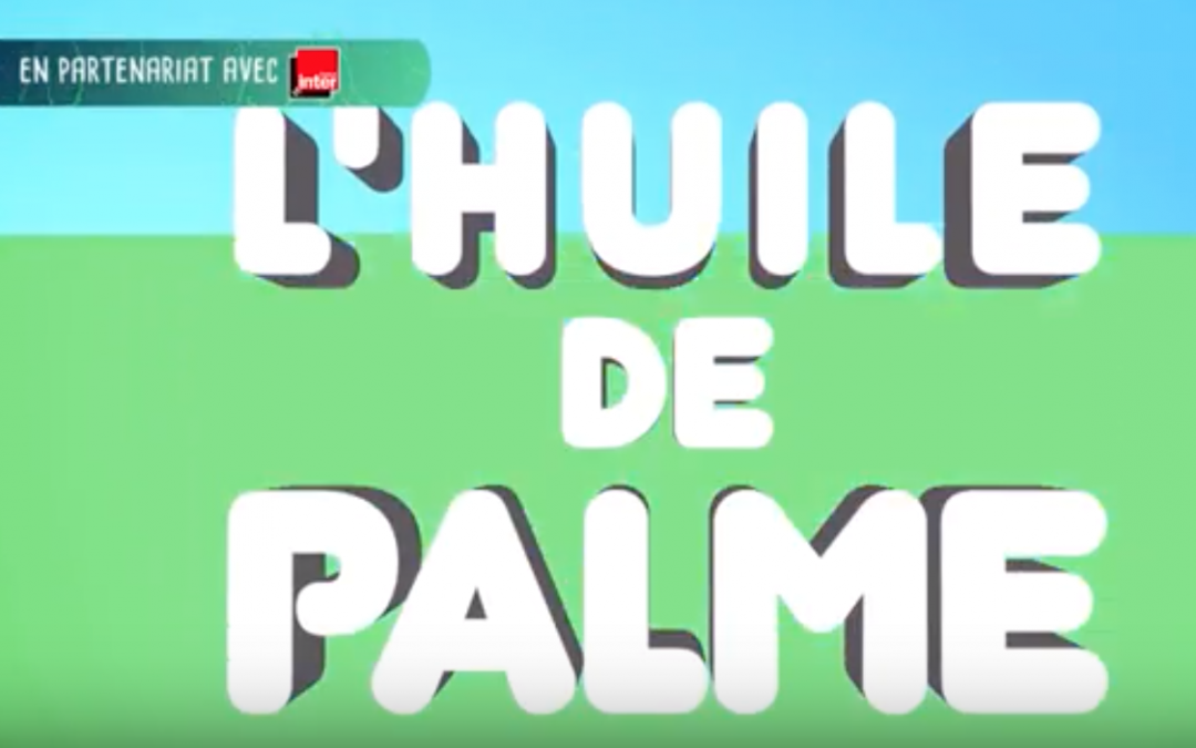 L’huile de palme, c’est quoi le problème ?