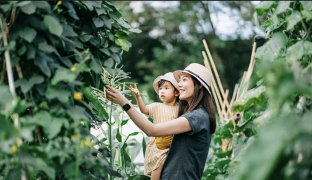 FRANCE INTER : Comment devenir un parent écolo ?